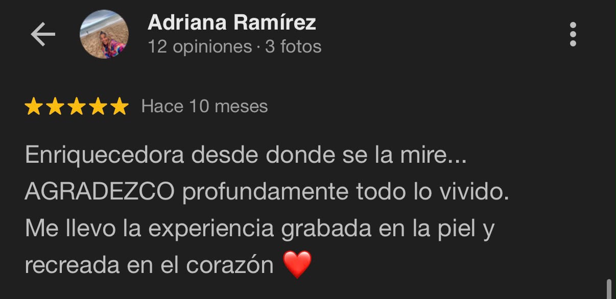 Reseña Google