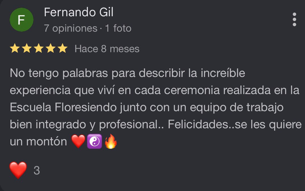 Reseña Google
