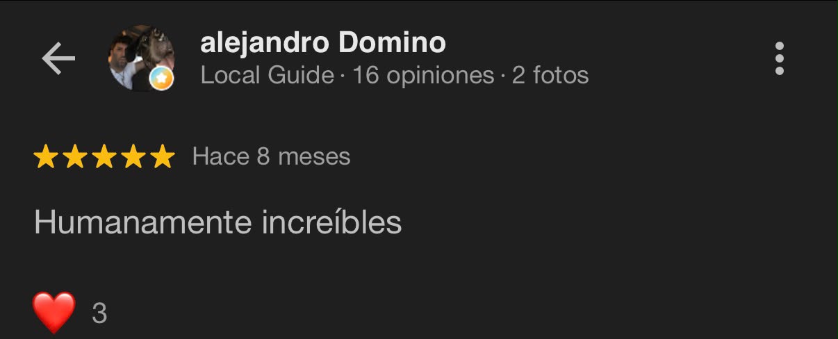 Reseña Google