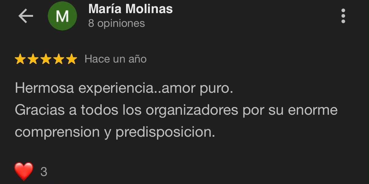 Reseña Google