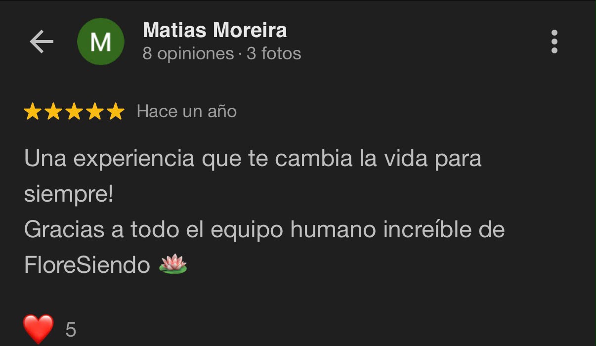 Reseña Google