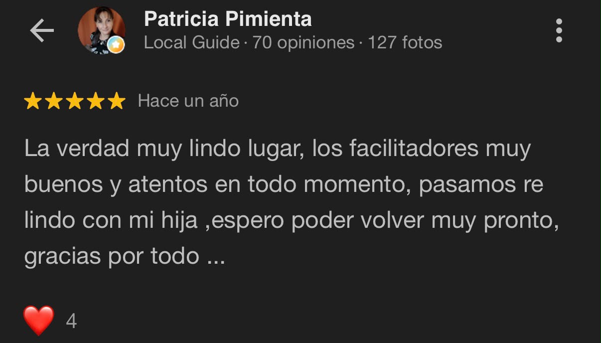Reseña Google
