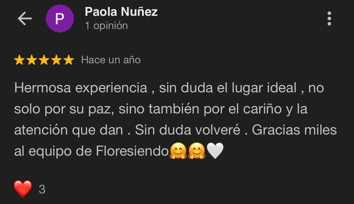 Reseña Google