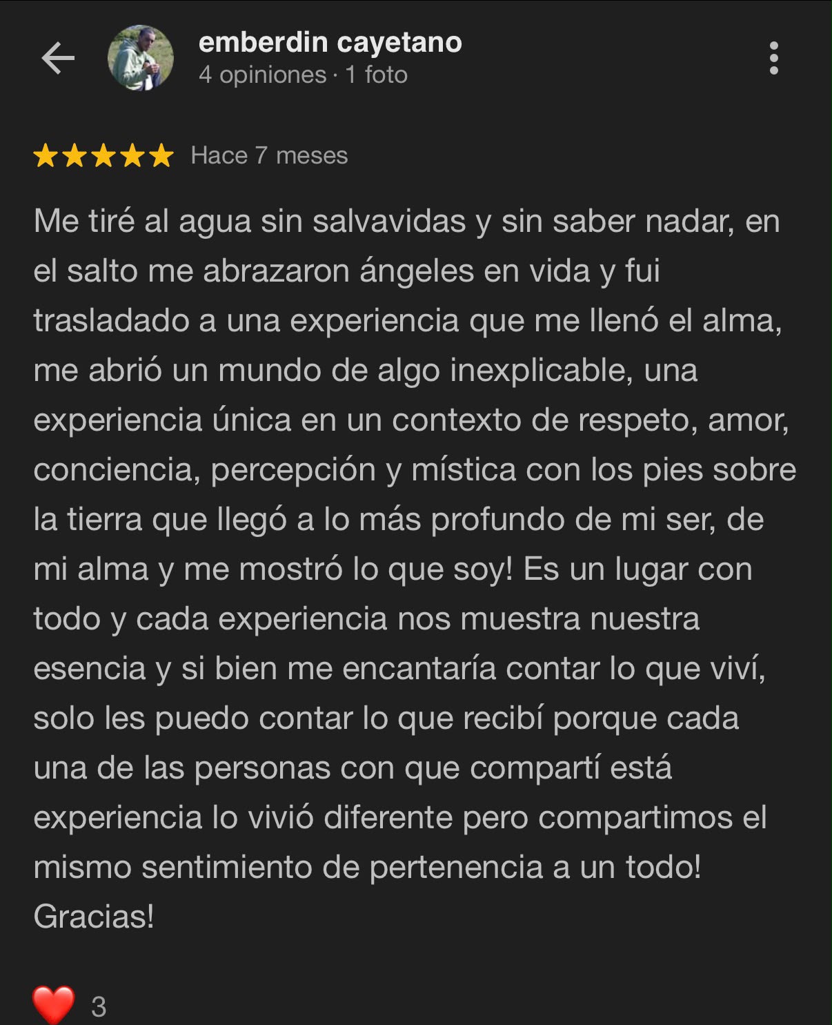 Reseña Google