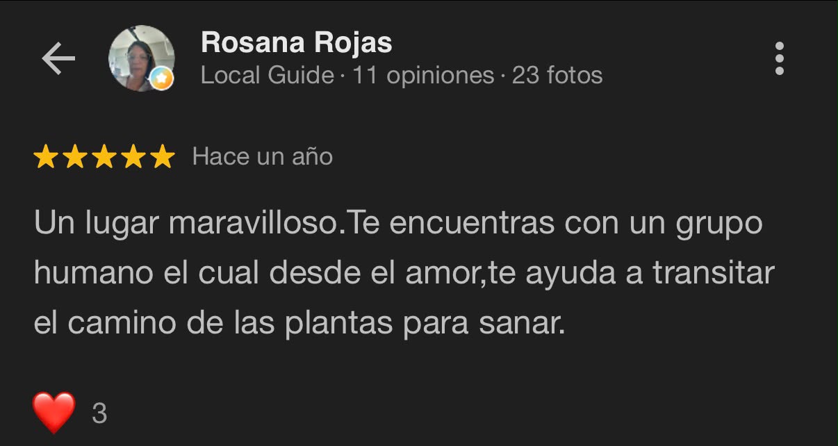 Reseña Google