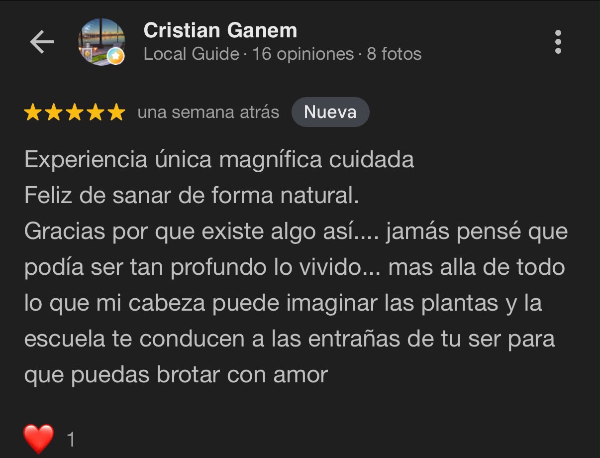 Reseña Google