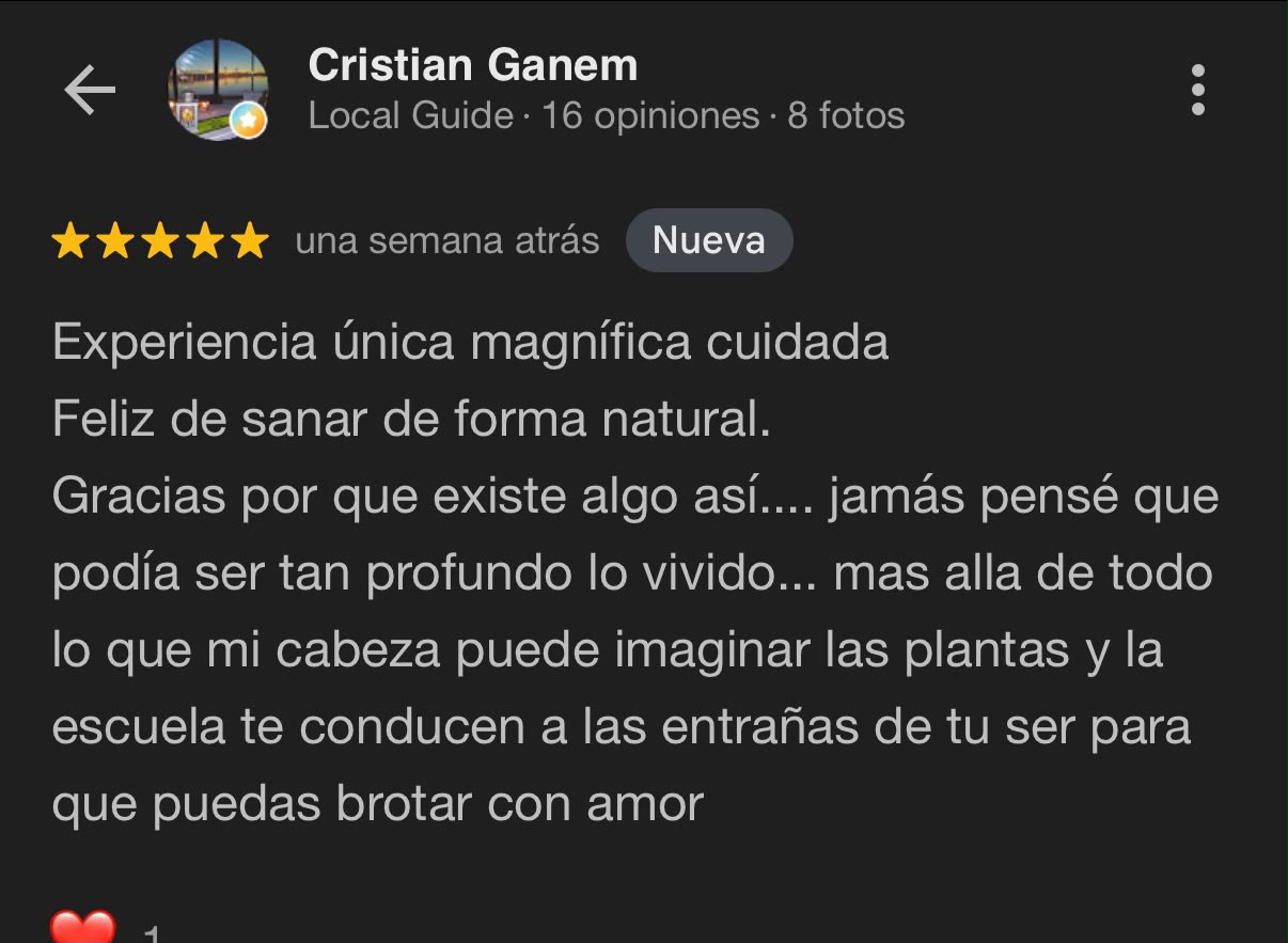 Reseña Google