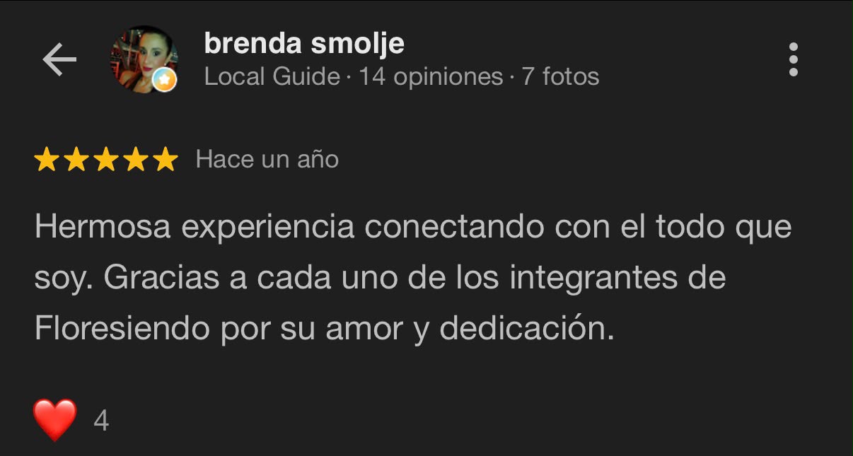 Reseña Google
