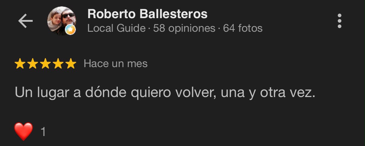 Reseña Google