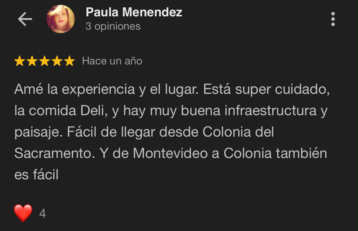 Reseña Google
