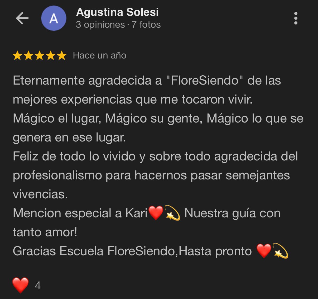 Reseña Google