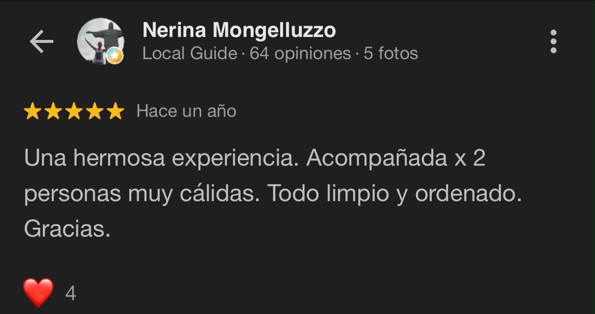 Reseña Google