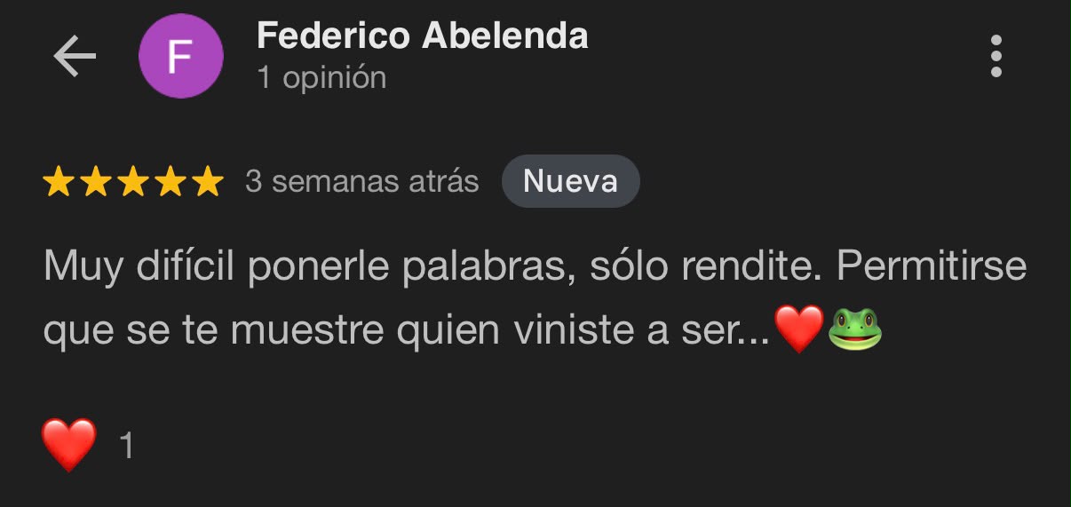 Reseña Google