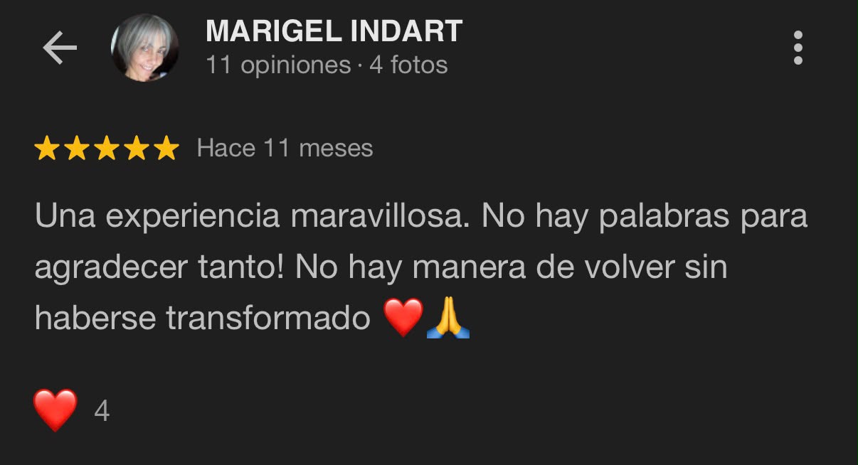Reseña Google