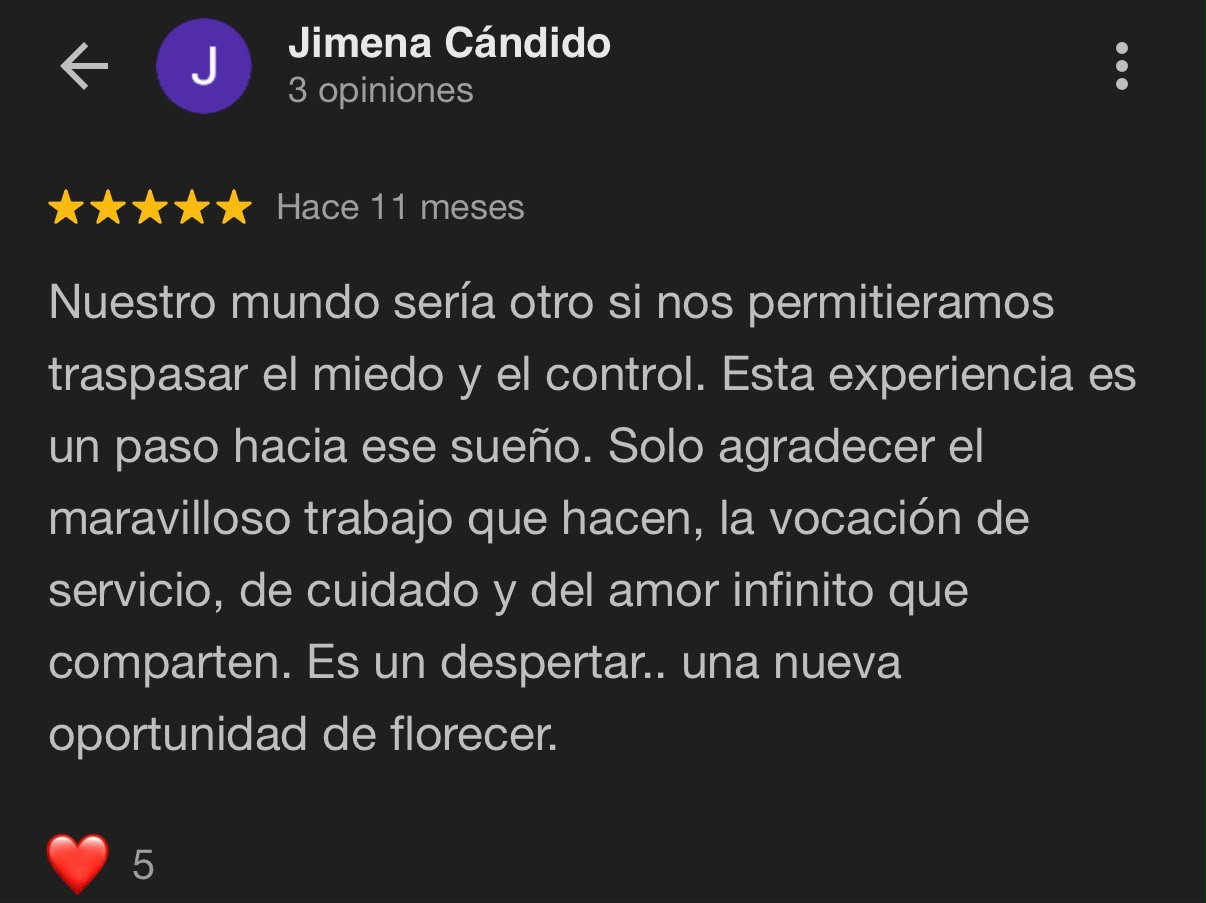 Reseña Google