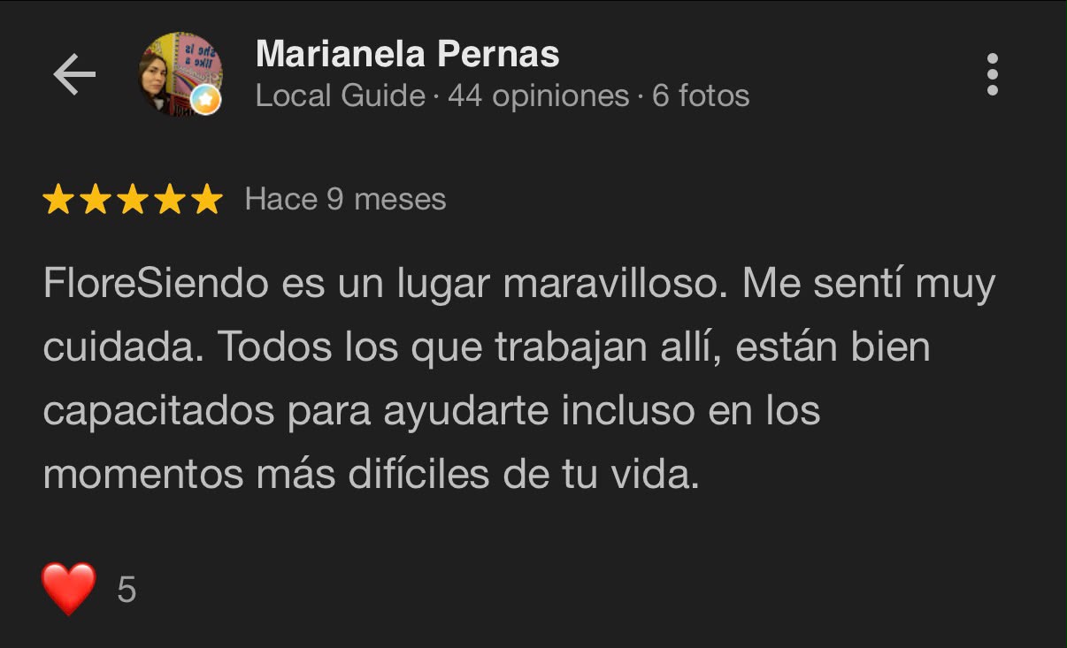 Reseña Google