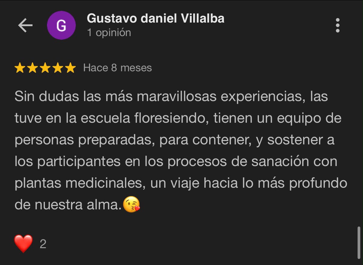 Reseña Google