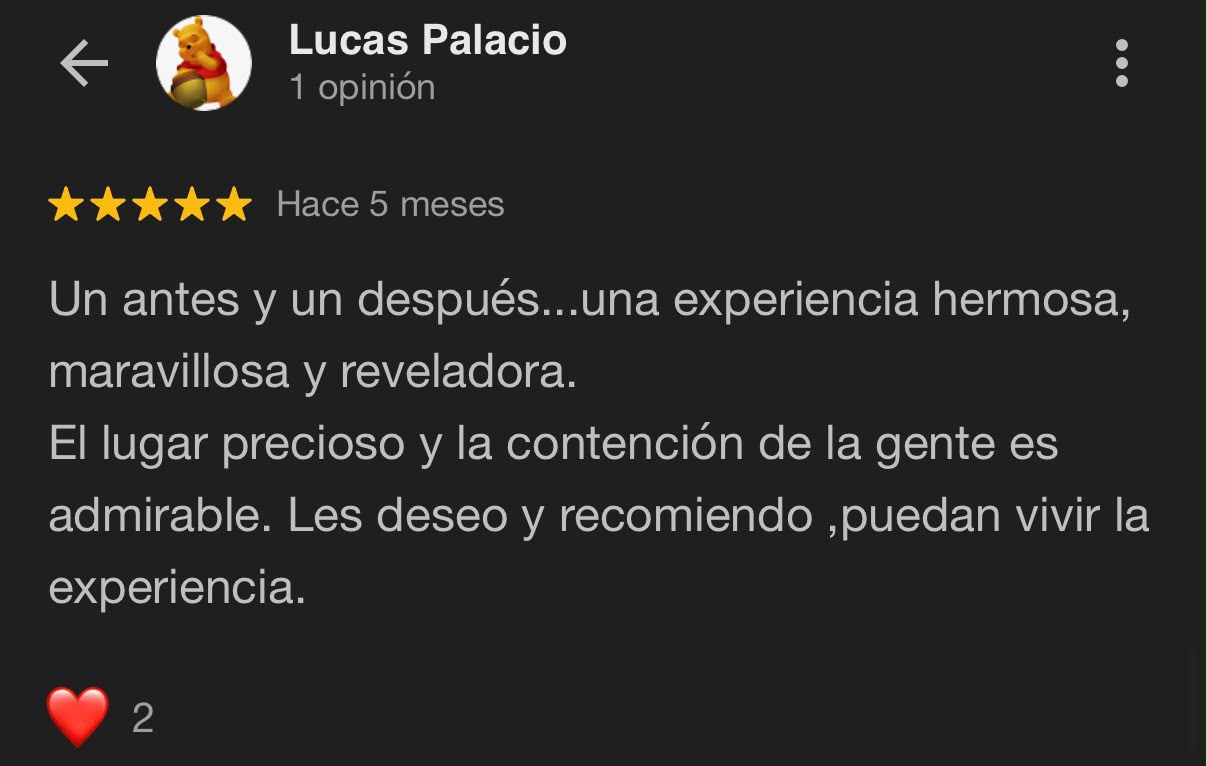Reseña Google