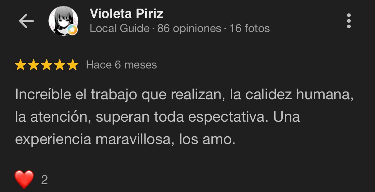 Reseña Google