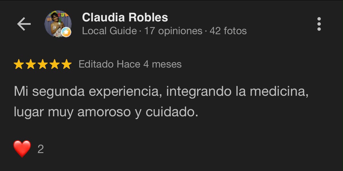 Reseña Google