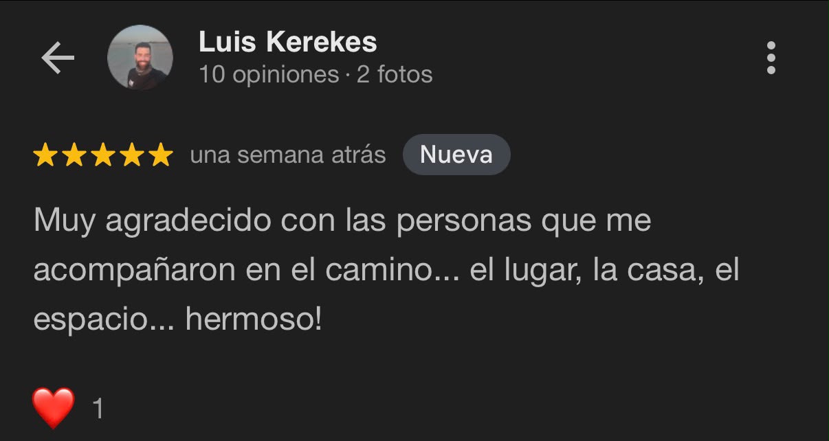 Reseña Google
