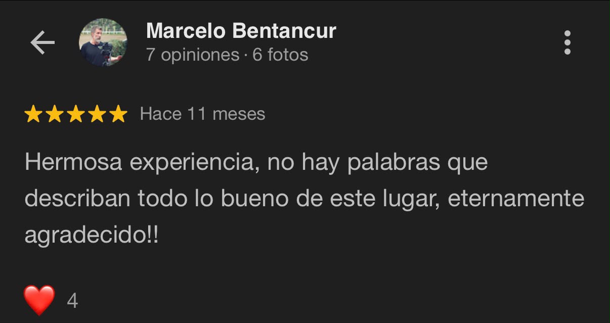 Reseña Google