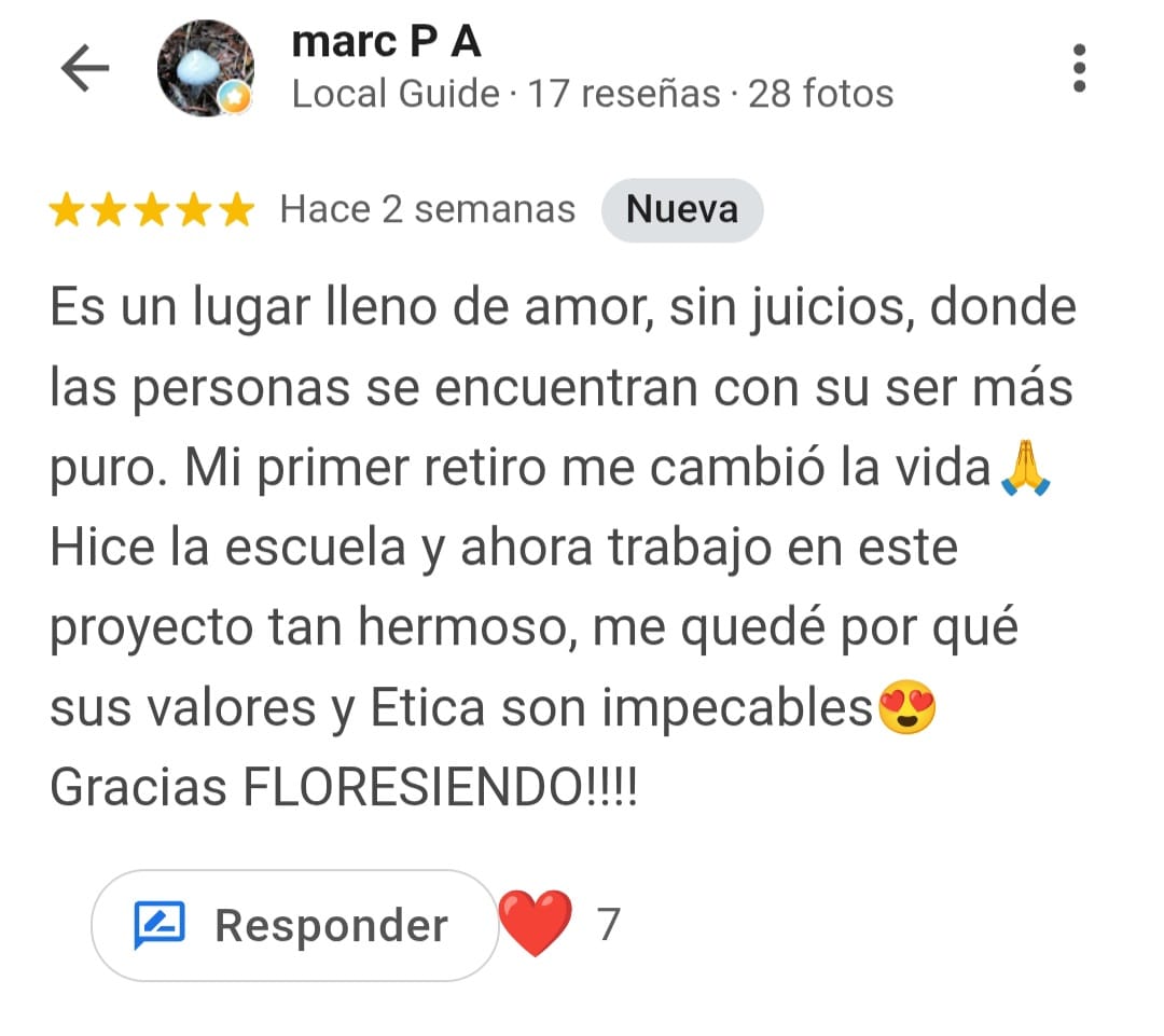 Reseña Google