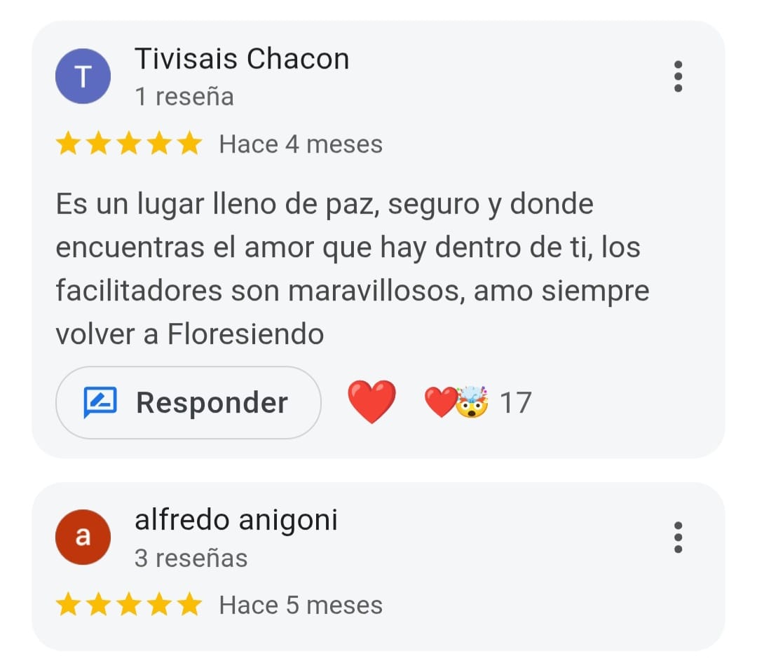 Reseña Google
