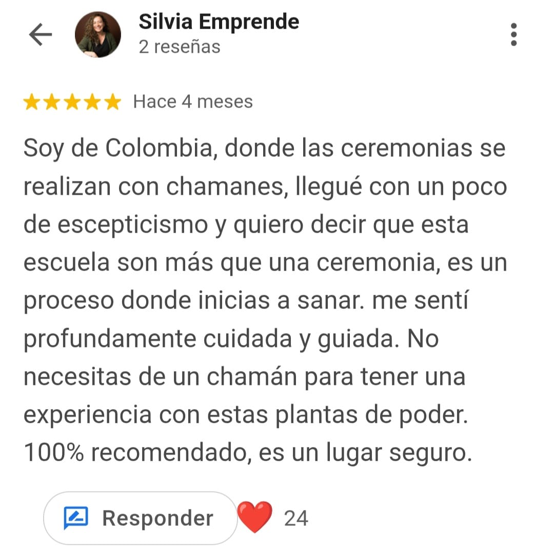 Reseña Google