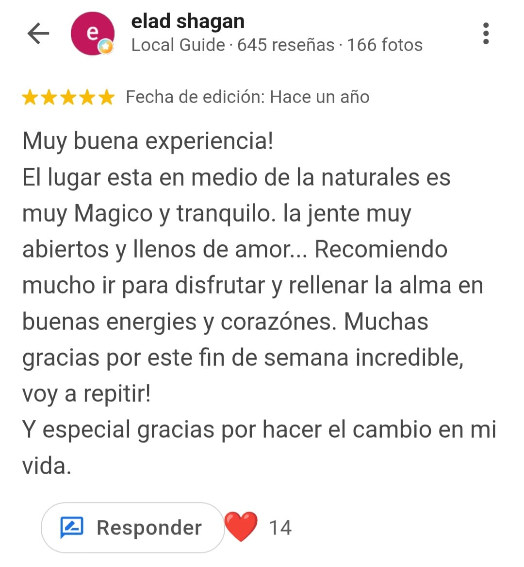 Reseña Google