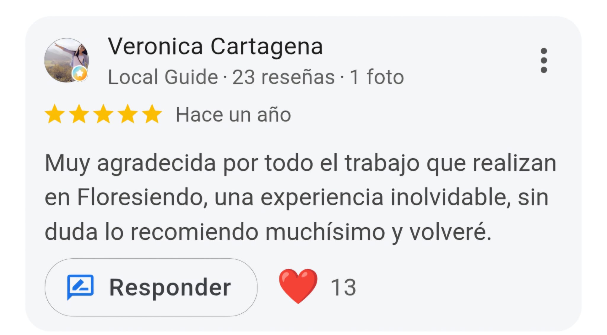 Reseña Google