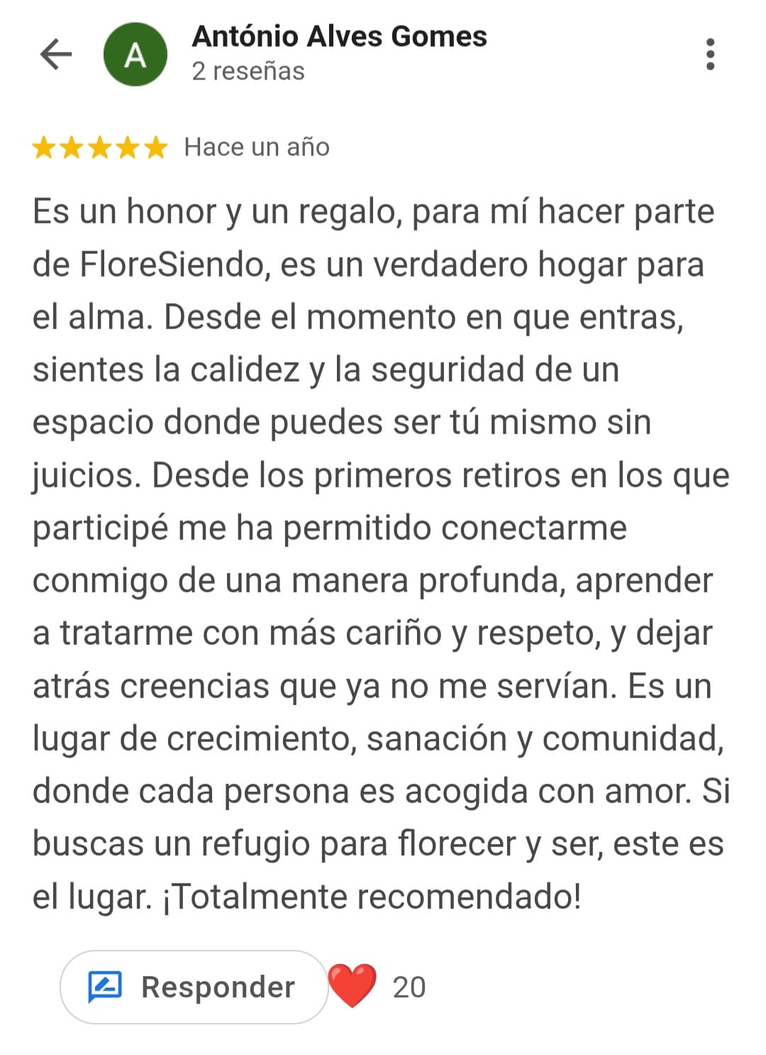Reseña Google