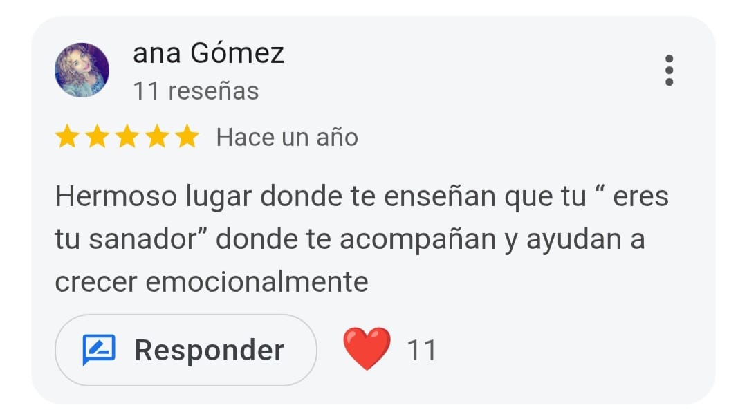 Reseña Google