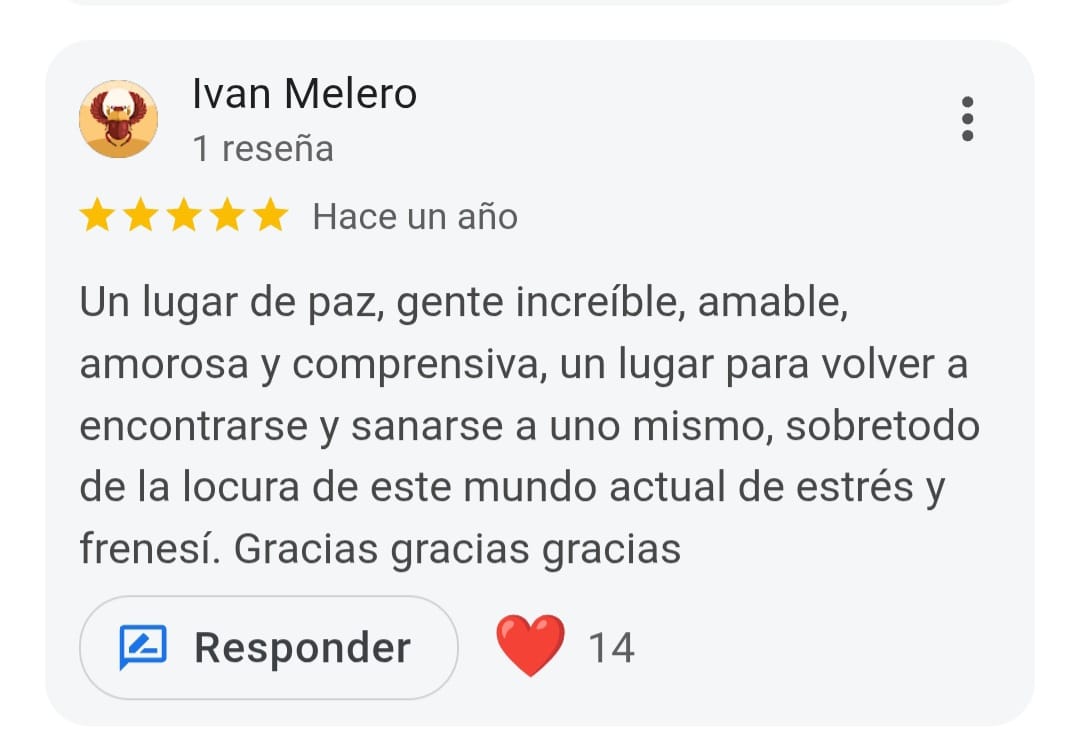 Reseña Google