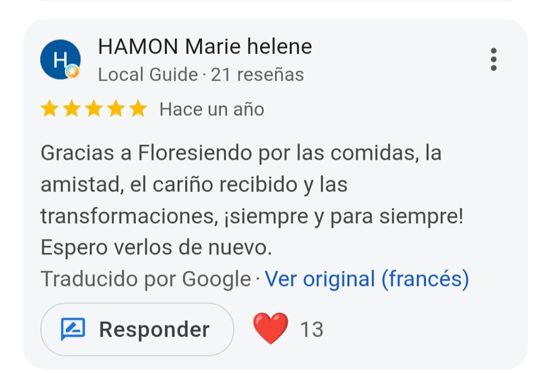 Reseña Google