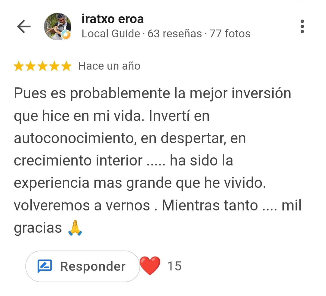 Reseña Google