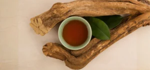Ayahuasca adicción